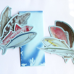 魚のメッセージカード<海の恵み2 > 1枚目の画像