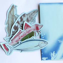 魚のメッセージカード<海の恵み2 > 5枚目の画像