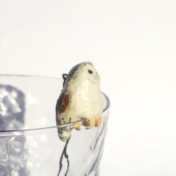 コップが止まり木<ミナミメンフクロウ> 2枚目の画像