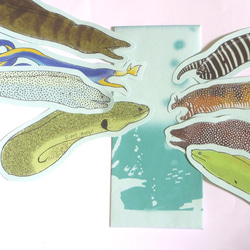 魚のメッセージカード<海の王者ウツボ> 1枚目の画像