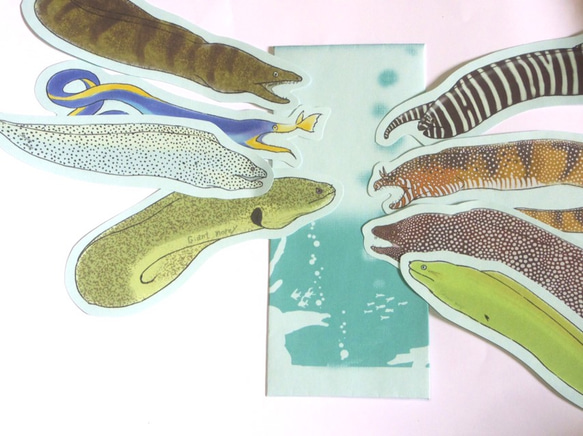 魚のメッセージカード<海の王者ウツボ> 1枚目の画像