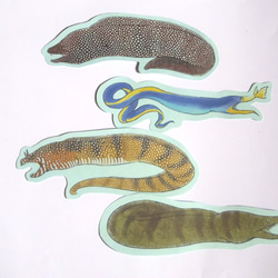 魚のメッセージカード<海の王者ウツボ> 4枚目の画像