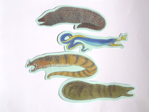魚のメッセージカード<海の王者ウツボ> 4枚目の画像