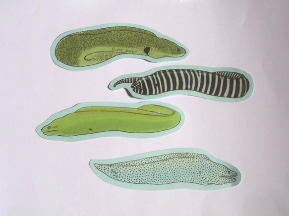 魚のメッセージカード<海の王者ウツボ> 5枚目の画像