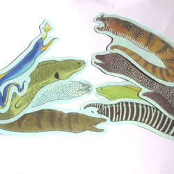 魚のメッセージカード<海の王者ウツボ> 6枚目の画像