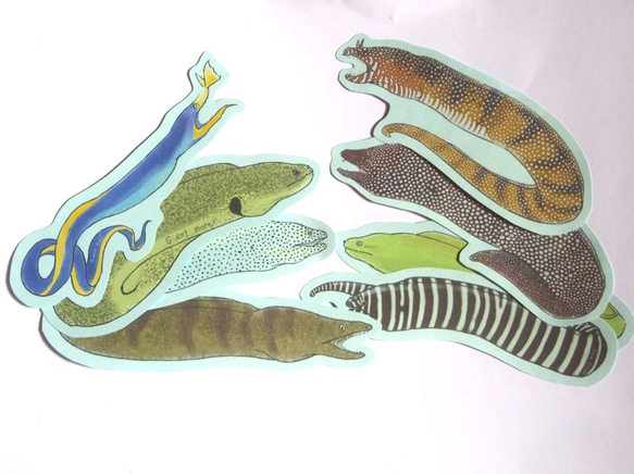 魚のメッセージカード<海の王者ウツボ> 6枚目の画像