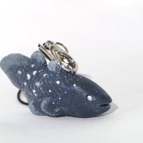 深海のシーラカンスストラップ 携帯ストラップ KOMAKKOU64 通販