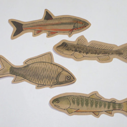魚のメッセージカード<淡水の魚> 4枚目の画像