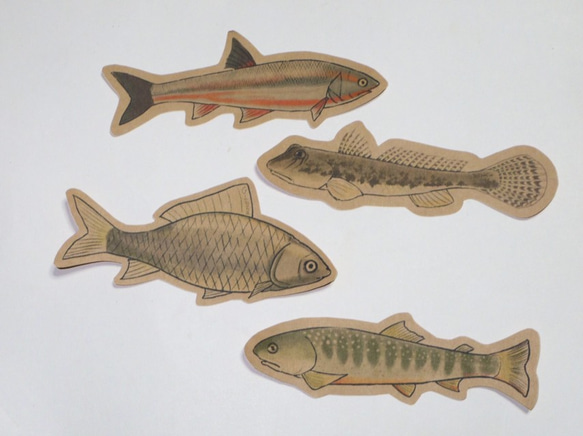 魚のメッセージカード<淡水の魚> 4枚目の画像
