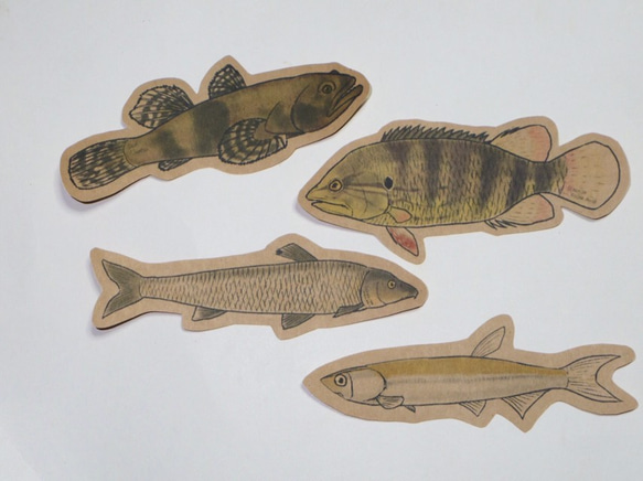 魚のメッセージカード<淡水の魚> 5枚目の画像