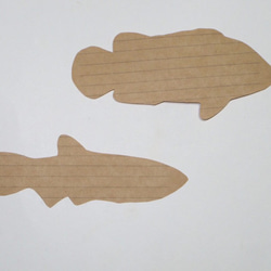 魚のメッセージカード<淡水の魚> 6枚目の画像
