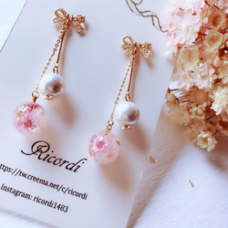 {D r o p s}珍珠系列：蝴蝶結甜美風乾燥花球珍珠耳飾（粉色系） 第1張的照片