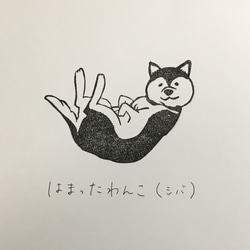 はまったわんこ(シバ) hnb＊ 1枚目の画像