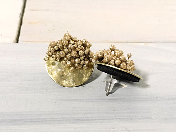 乾燥真花製黃銅製圓盤耳針（夾式耳環） 第2張的照片
