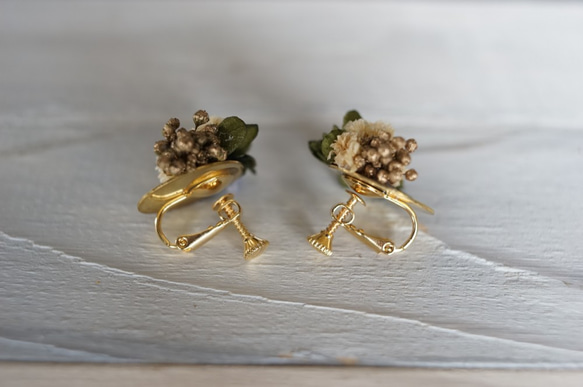 永生花和黃銅圓形耳環（僅限穿孔耳環） 第6張的照片