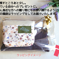 [獎勵禮物☆4點幸運袋給正在努力工作的自己] Sacoche，折疊緞袋棕色 第3張的照片