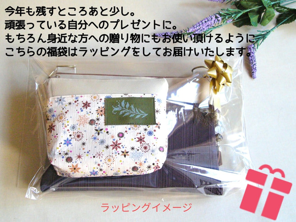 [獎勵禮物☆4點幸運袋給正在努力工作的自己] Sacoche，折疊緞袋棕色 第3張的照片