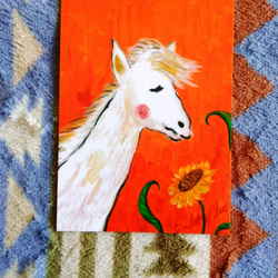 【動物】シリーズ-Horse_Postcard_Card 1枚目の画像