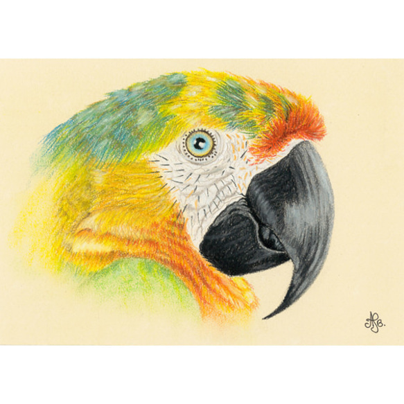 ✴️特別価格【原画】『道案内鳥』（絵画 鳥 ヘラサギ パステル画