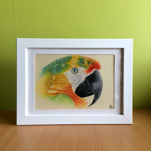 鳥のパステル画 鳥のパステル画 7a53f872c1610c485606ad03175ea9