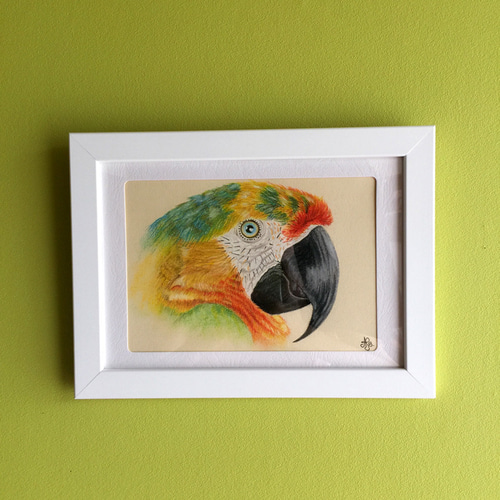 パステル画 鳥 絵画 Creannso 通販 4565183｜Creema(クリーマ