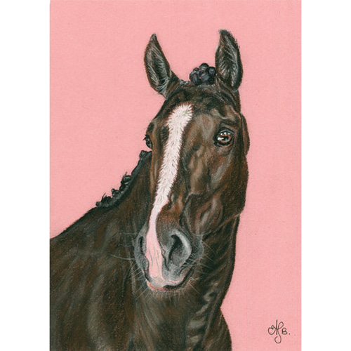 風景画 パステル画 人物と馬 パステル画完成しました🖌 今回は馬🐴の絵です🖼 久しぶりに描き
