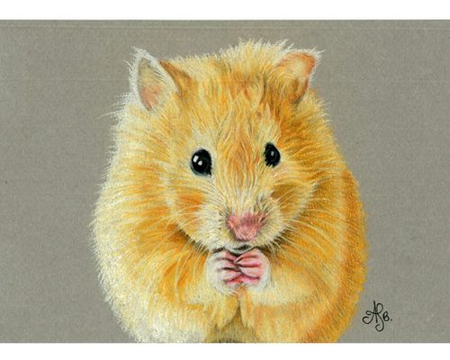 0_60ad957fd2e155cabfde5ef1a938