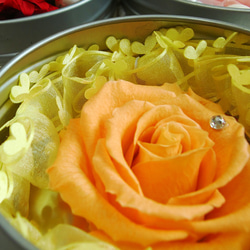 【送料無料】マグネット缶に入ったオレンジのバラ 2枚目の画像