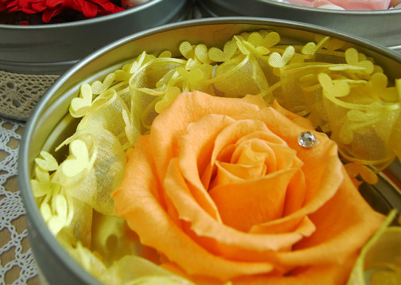 【送料無料】マグネット缶に入ったオレンジのバラ 2枚目の画像