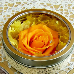 【送料無料】マグネット缶に入ったオレンジのバラ 3枚目の画像