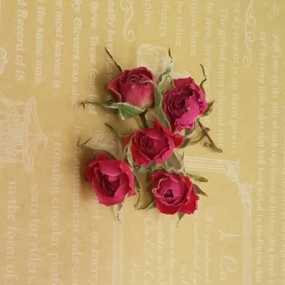 花材　ローズ　ドライフラワー　5個セット 1枚目の画像