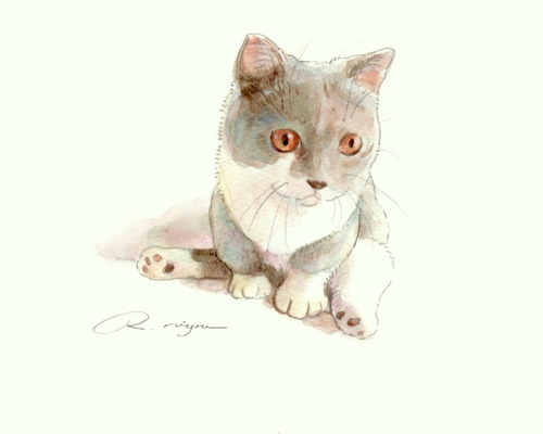 絵画 猫 猫の絵 アンティーク 水彩画 cat art watercolor ころん #本日の猫 #茶白猫 #水彩画 #猫イラスト #猫
