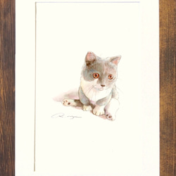 猫の水彩画 2枚目の画像