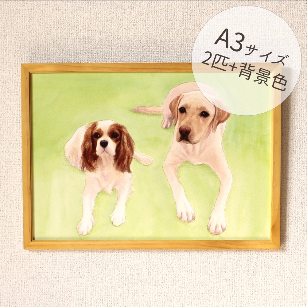 プロがお描きするペットの絵・オーダーメイド愛犬の絵・愛猫の絵