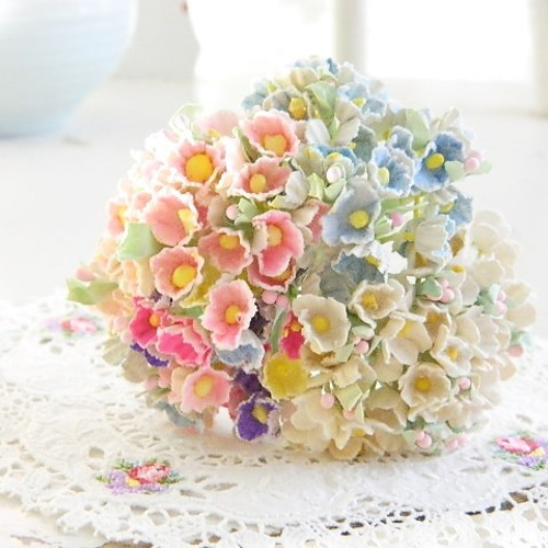 ピーちゃん☆様◇【ドライフラワー】勿忘草/わすれな草/忘れな草