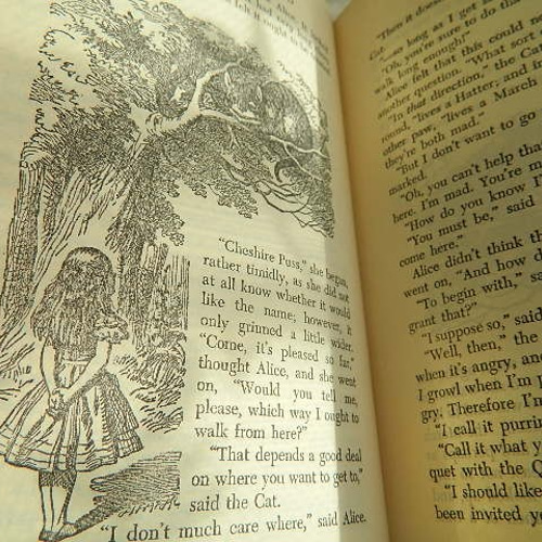 不思議の国のアリス」と「鏡の国のアリス」洋書 絵本 その他