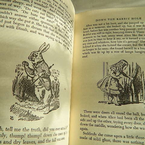 不思議の国のアリス」と「鏡の国のアリス」洋書 絵本 その他