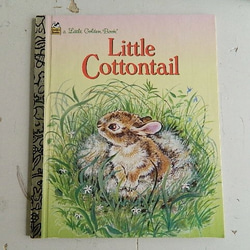 *Little Cottontail　絵本 1988年出版 2枚目の画像