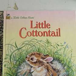 *Little Cottontail　絵本 1988年出版 3枚目の画像