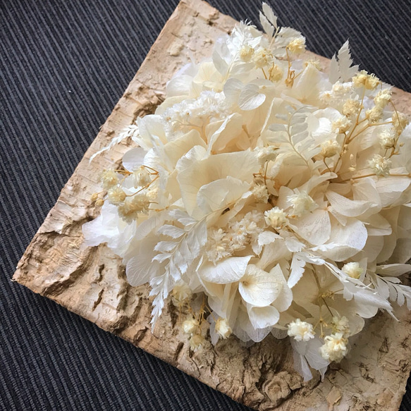 白樺のring pillow  -antique cream- 1枚目の画像
