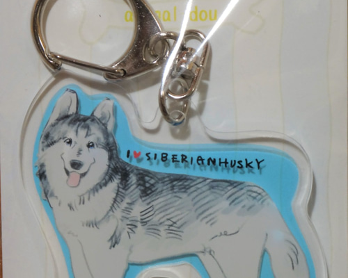 アクリルキーフォルダー ハスキー おもちゃ・ペット小物 あにまる堂