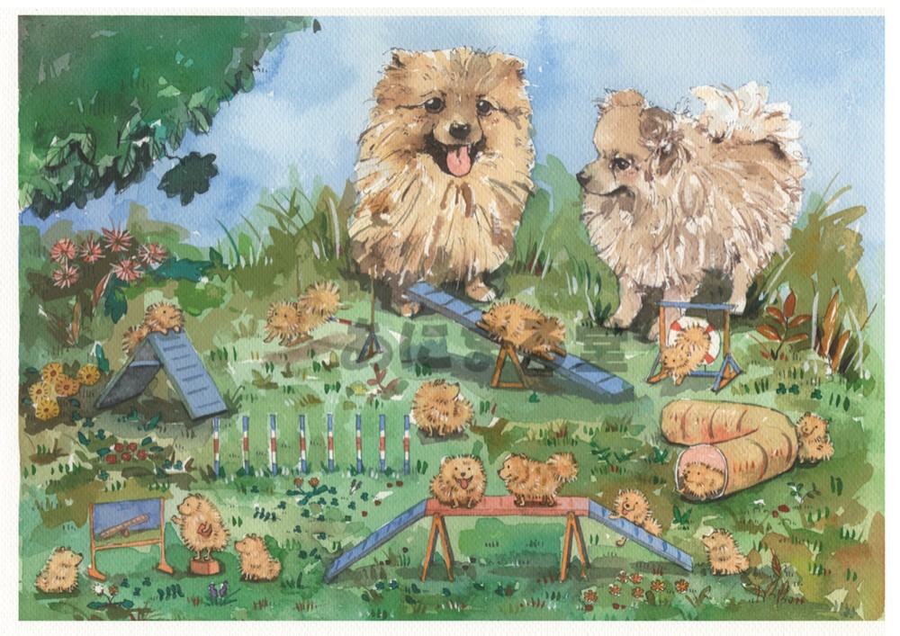 ポメラニアン アジリティ キャンバスアート 絵画 あにまる堂