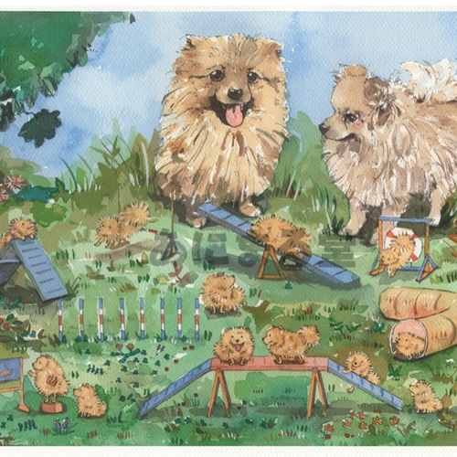 ポメラニアン アジリティ キャンバスアート 絵画 あにまる堂