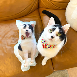 ビッグサイズ　世界にひとつ　うちの子　ペット　オーダーメイドクッション　猫　犬　メモリアル　プレゼント 4枚目の画像
