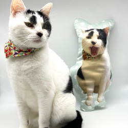 ビッグサイズ　世界にひとつ　うちの子　ペット　オーダーメイドクッション　猫　犬　メモリアル　プレゼント 6枚目の画像