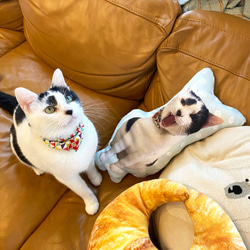 ビッグサイズ　世界にひとつ　うちの子　ペット　オーダーメイドクッション　猫　犬　メモリアル　プレゼント 9枚目の画像