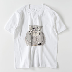 マヌルネコ　Tシャツ　メンズ　ゆるかわ　野生猫　ユニセックス　マヌル　イラスト 1枚目の画像