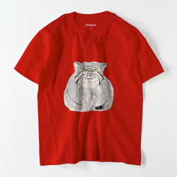 マヌルネコ　Tシャツ　メンズ　ゆるかわ　野生猫　ユニセックス　マヌル　イラスト 5枚目の画像