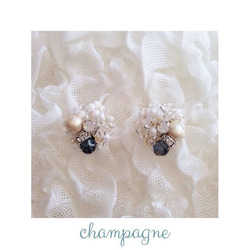 【NEW】champagne 2枚目の画像