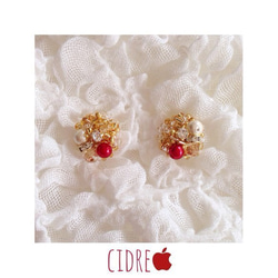 【NEW】”cidre” 2枚目の画像